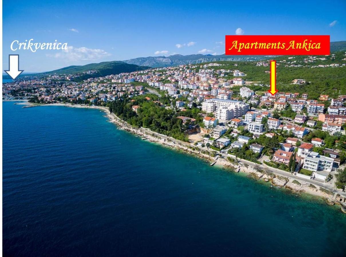Family Apartments Ankica Криквеница Екстериор снимка